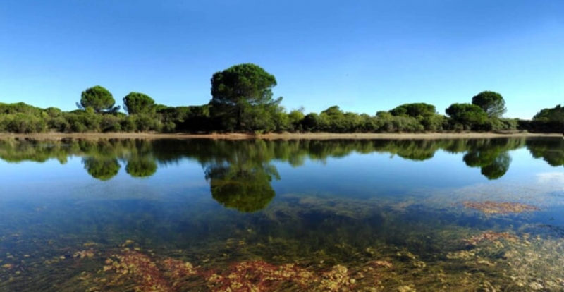 I pericoli per la biodiversità di Ortazzo e Ortazzino